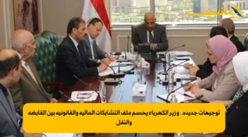 توجيهات جديدة.. وزير الكهرباء يحسم ملف التشابكات المالية والقانونية بين القابضة والنقل 1